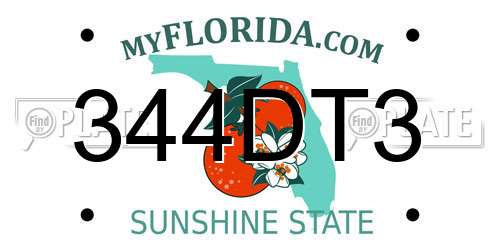 344DT3 Florida License Plate