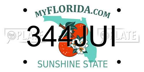 344JUI Florida License Plate