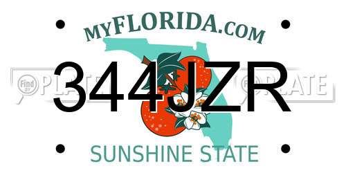 344JZR Florida License Plate