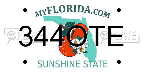 344OTE Florida License Plate