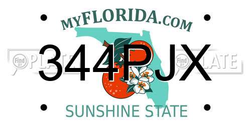 344PJX Florida License Plate