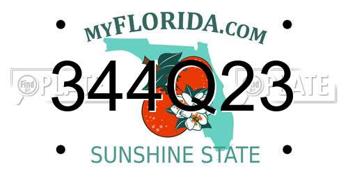 344Q23 Florida License Plate