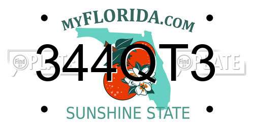 344QT3 Florida License Plate
