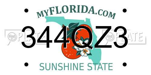 344QZ3 Florida License Plate