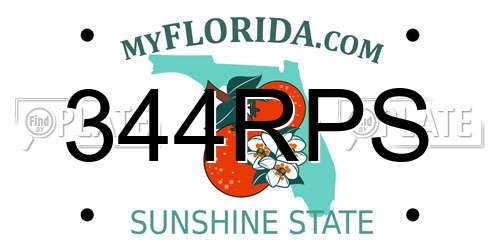 344RPS Florida License Plate