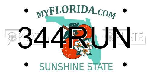 344RUN Florida License Plate