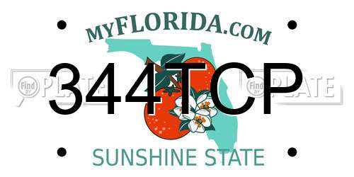 344TCP Florida License Plate