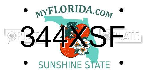 344XSF Florida License Plate