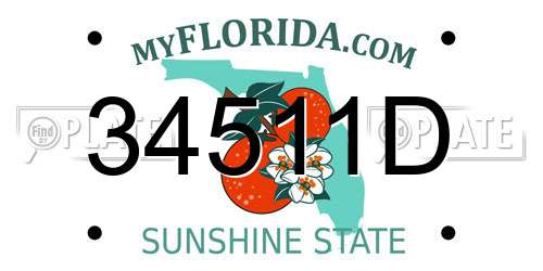 34511D Florida License Plate