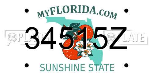 34515Z Florida License Plate