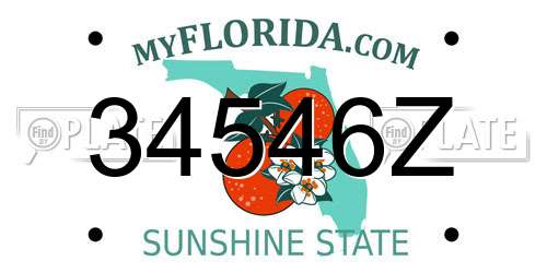 34546Z Florida License Plate