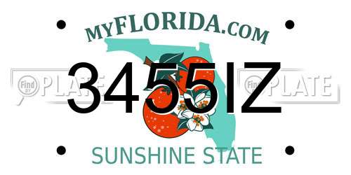 3455IZ Florida License Plate