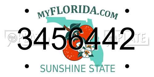 3456442 Florida License Plate