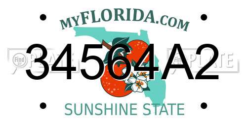 34564A2 Florida License Plate