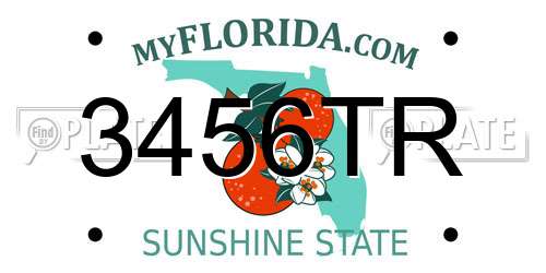 3456TR Florida License Plate