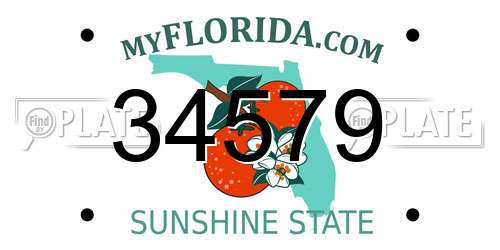 34579 Florida License Plate
