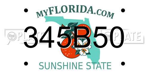 345B50 Florida License Plate