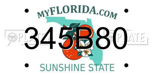 345B80 Florida License Plate