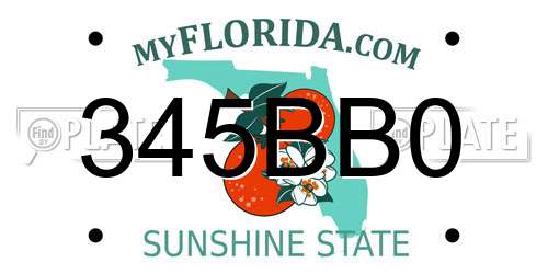 345BB0 Florida License Plate