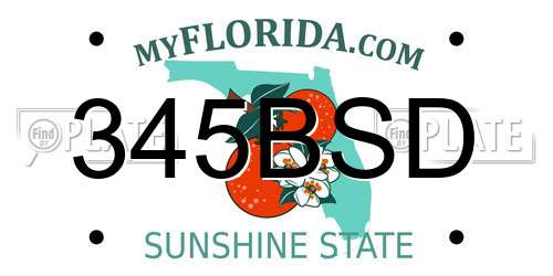 345BSD Florida License Plate