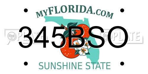 345BSO Florida License Plate