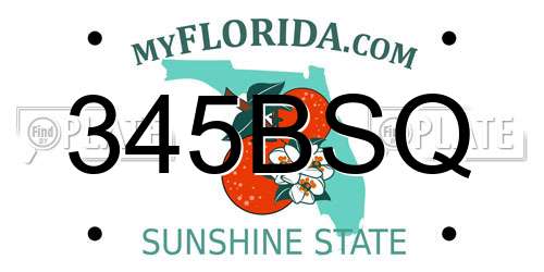 345BSQ Florida License Plate