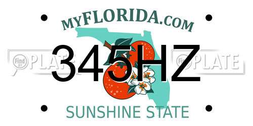 345HZ Florida License Plate