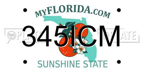 345ICM Florida License Plate