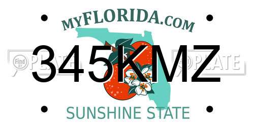 345KMZ Florida License Plate