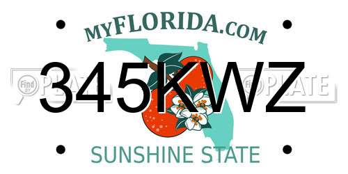 345KWZ Florida License Plate