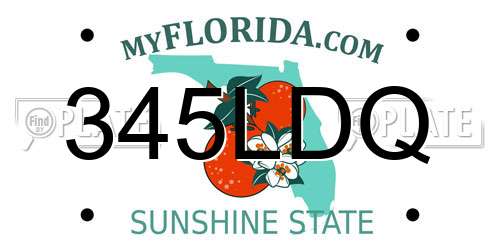 345LDQ Florida License Plate