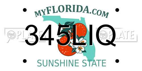 345LIQ Florida License Plate