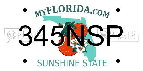 345NSP Florida License Plate