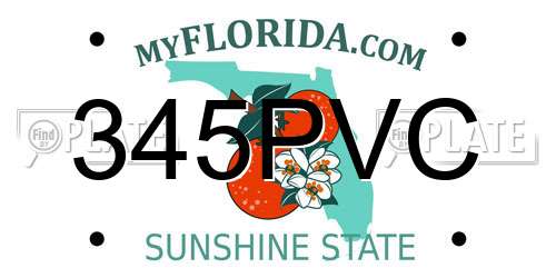 345PVC Florida License Plate