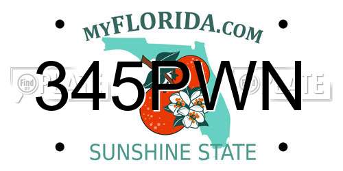 345PWN Florida License Plate