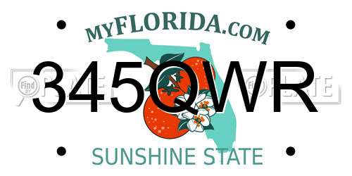 345QWR Florida License Plate