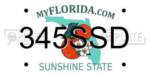 345SSD Florida License Plate