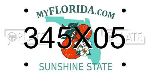 345X05 Florida License Plate