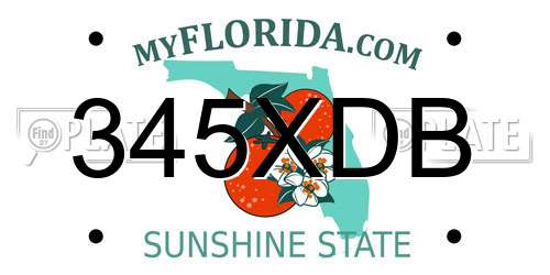 345XDB Florida License Plate