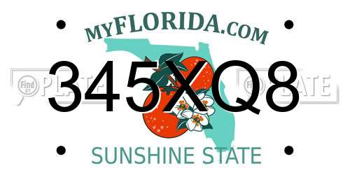 345XQ8 Florida License Plate