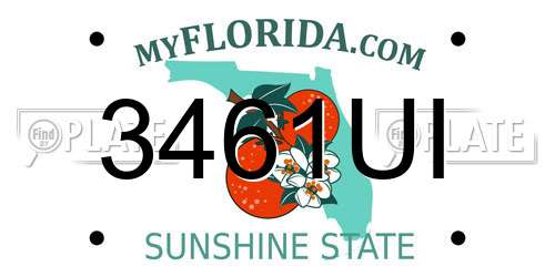 3461UI Florida License Plate