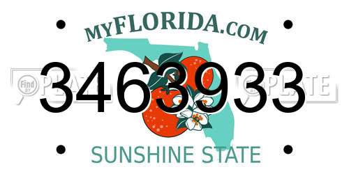 3463933 Florida License Plate