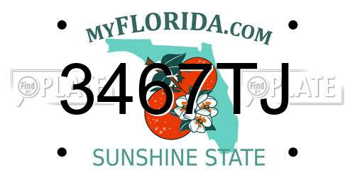 3467TJ Florida License Plate