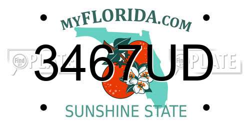 3467UD Florida License Plate