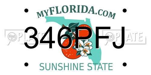 346PFJ Florida License Plate