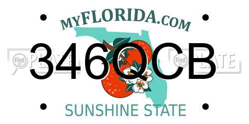 346QCB Florida License Plate