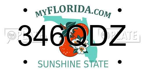 346QDZ Florida License Plate