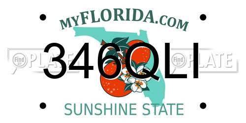 346QLI Florida License Plate