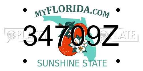 34709Z Florida License Plate