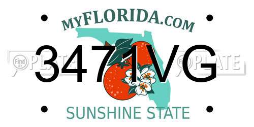 3471VG Florida License Plate